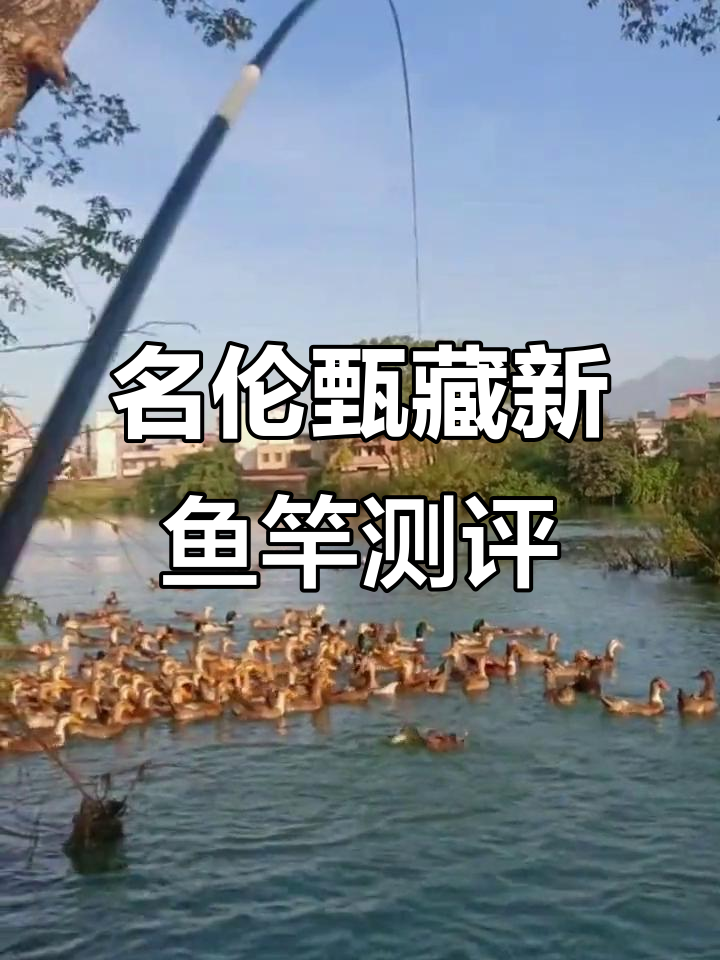 刚买的名伦甄藏鱼竿，腰力十足不重头，户外测试性能超乎想象