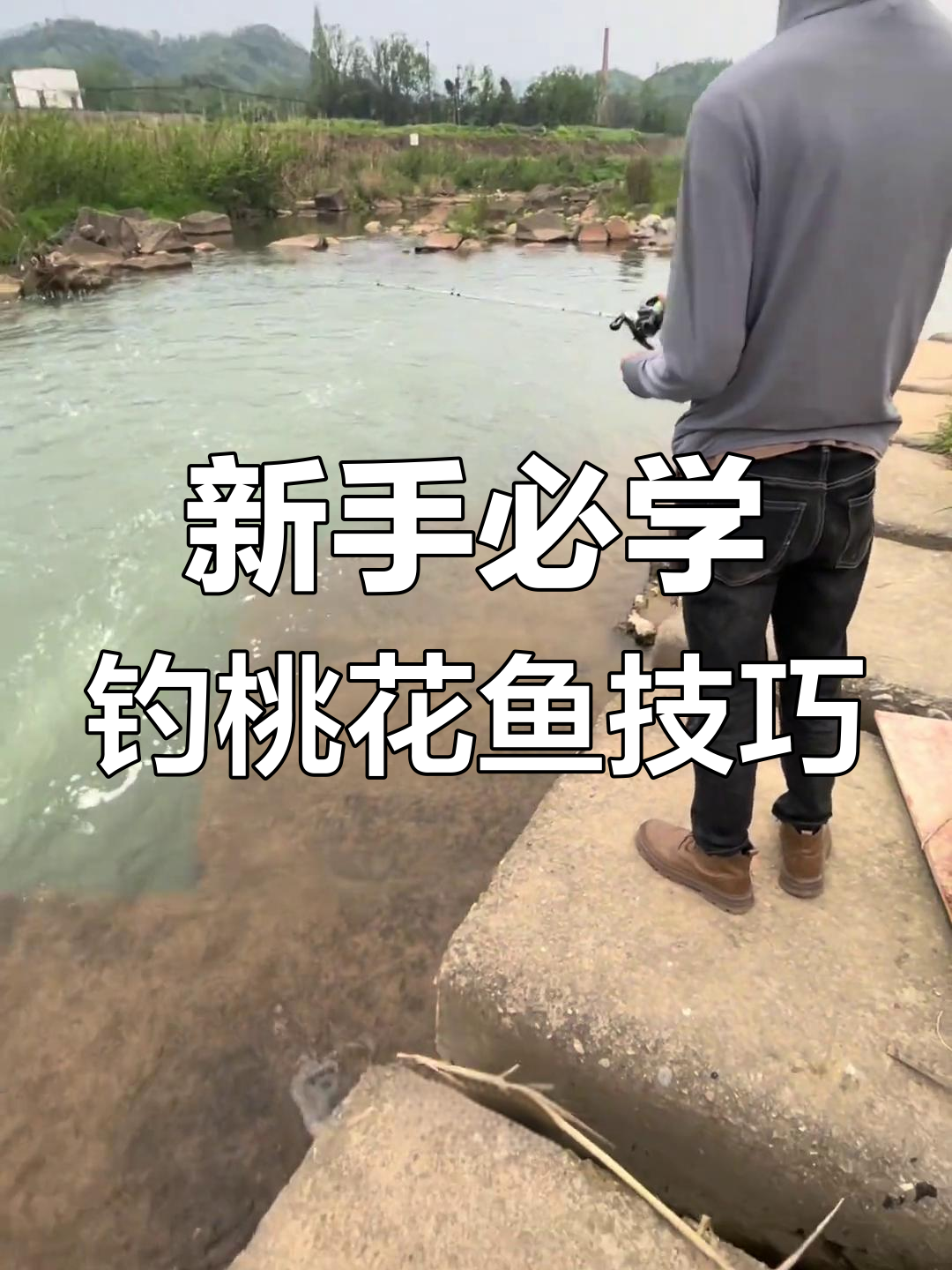 成都钓鱼新手也能轻松钓到桃花鱼,装备简单又实用