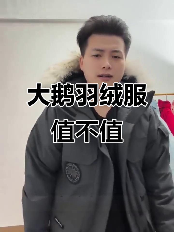 大鹅羽绒服黑标与红标的区别,哪个更值得入手?