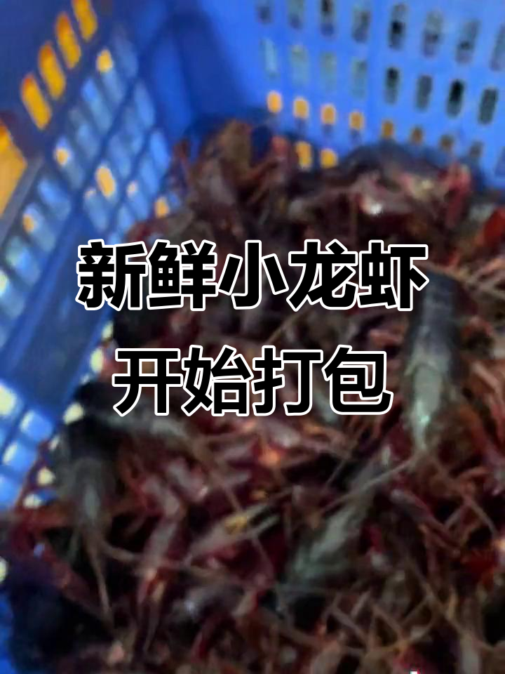 小龙虾打包现场,货源充足无需刷新