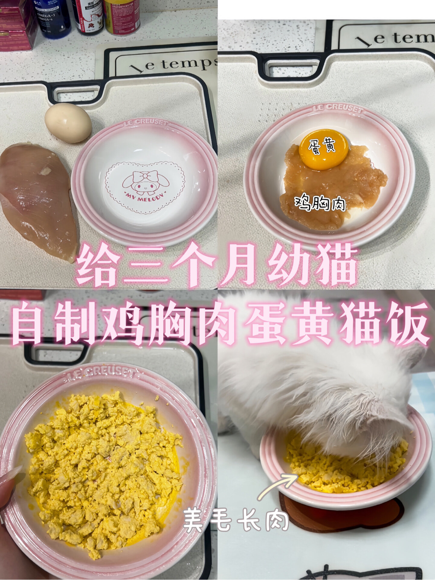 3个月幼猫吃什么|自制鸡胸肉猫饭美毛还长肉