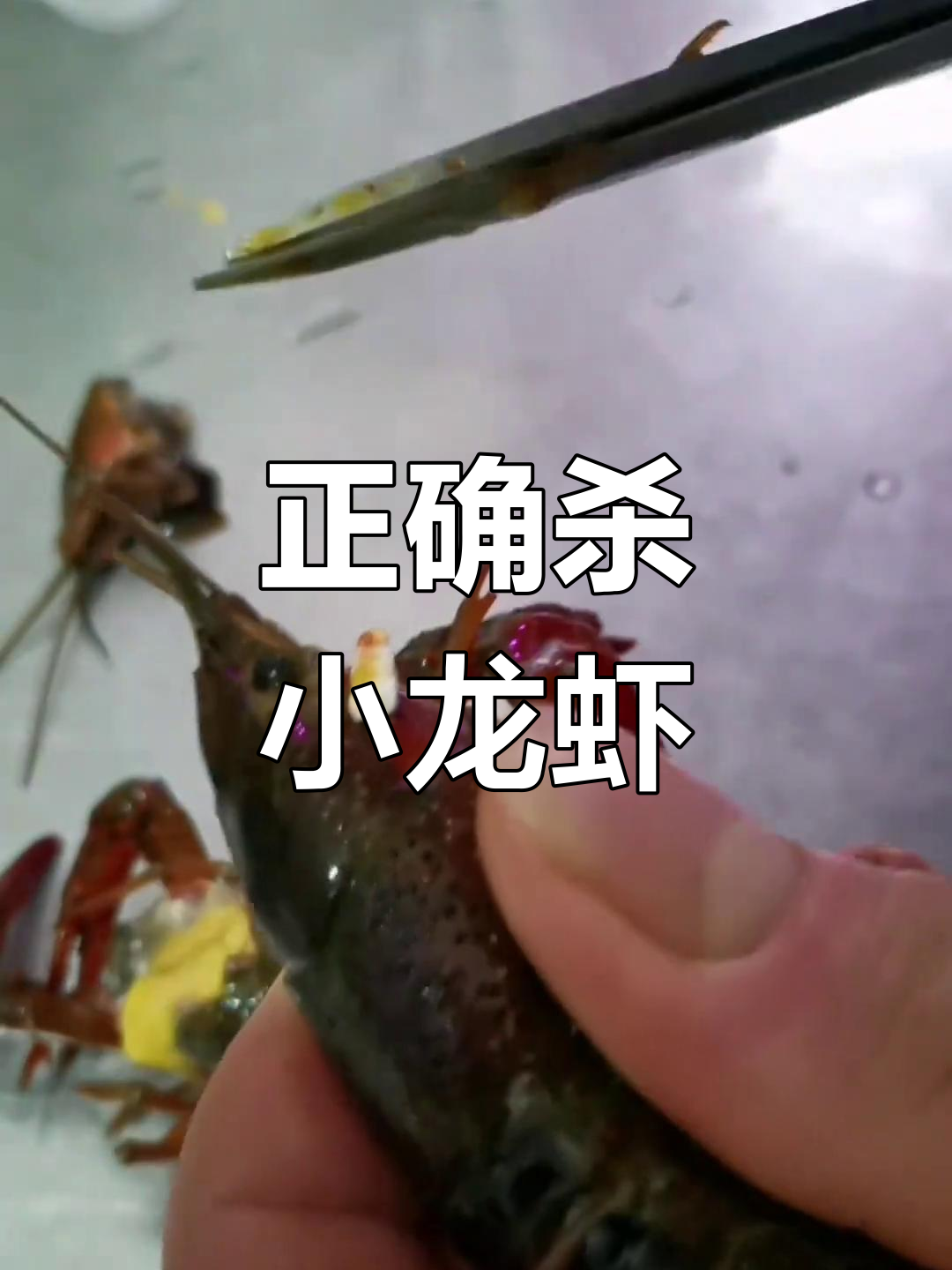 小龙虾的正确杀法与处理技巧