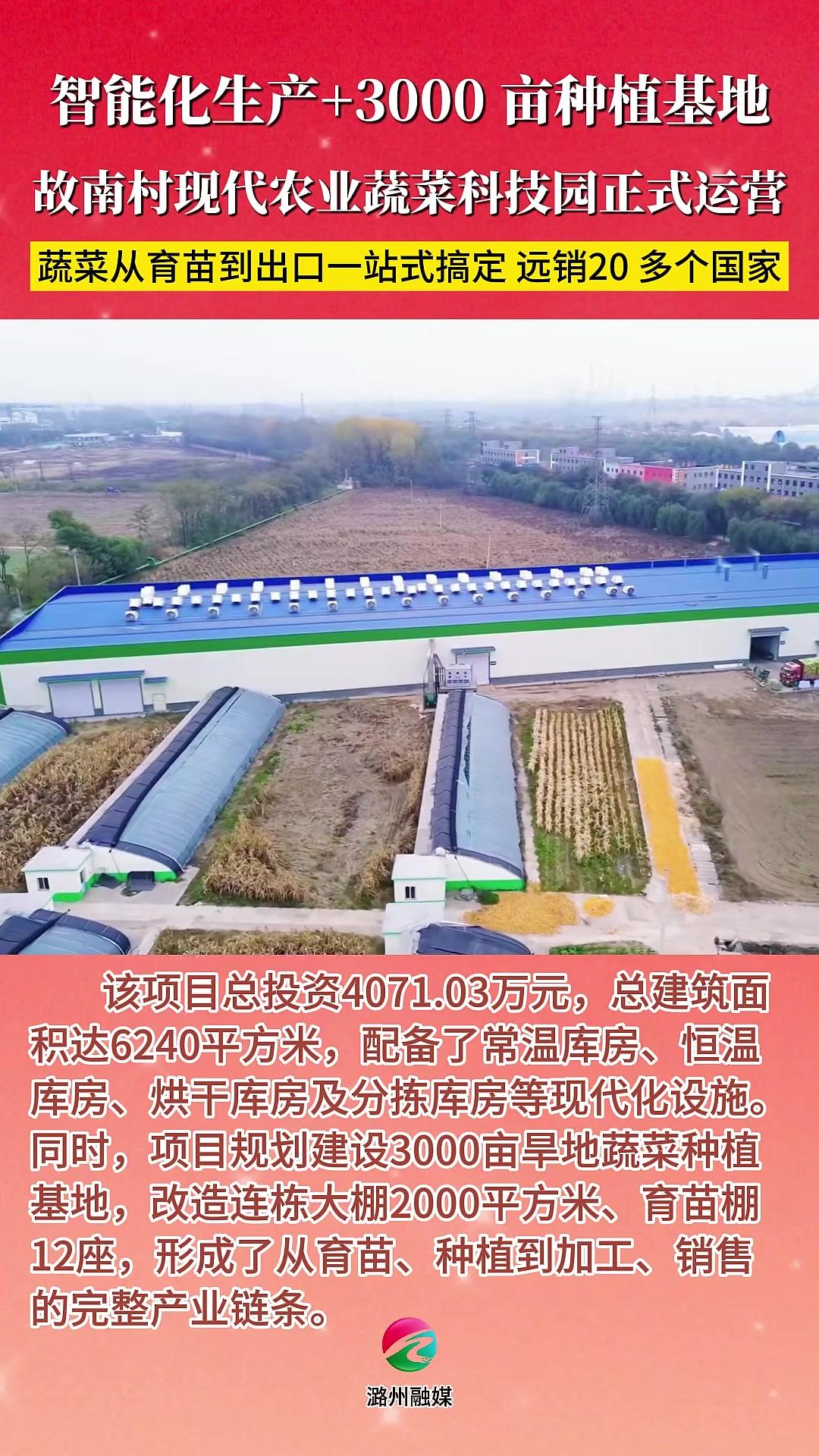 蔬菜从育苗到出口一站式搞定远销20多个国家 长治潞州区 故南村 现代农业蔬菜科技园 种植基