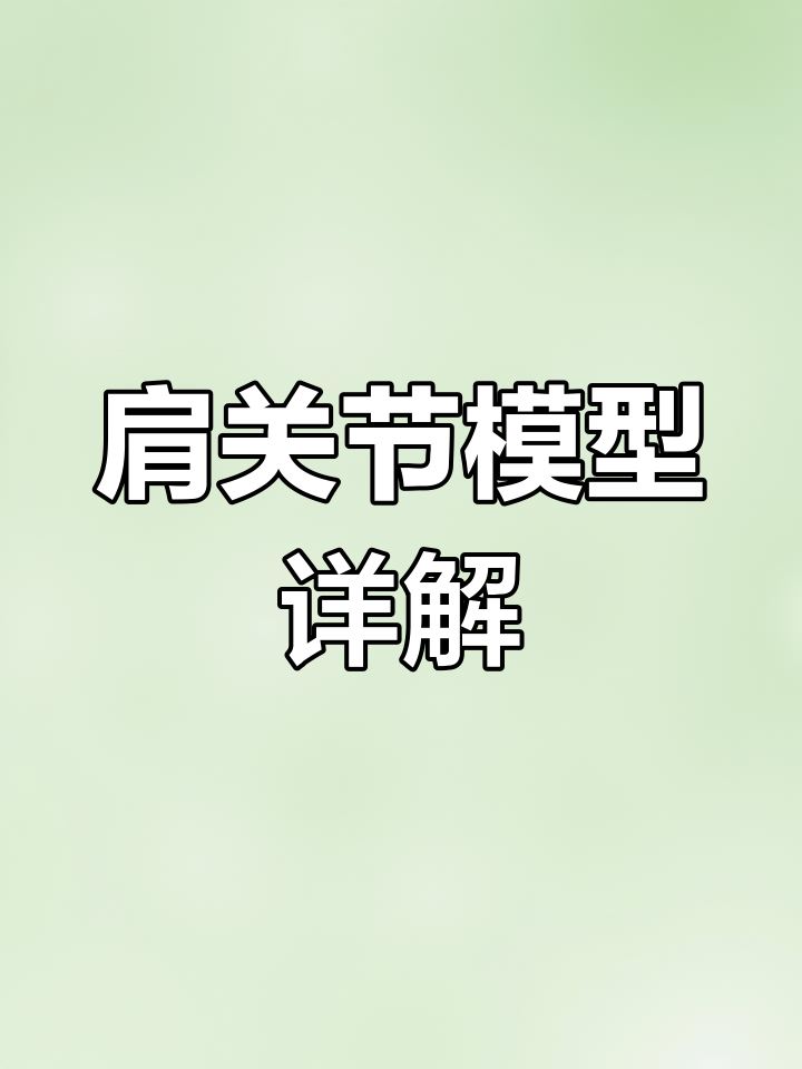 人体肩关节解剖与肌肉结构解析