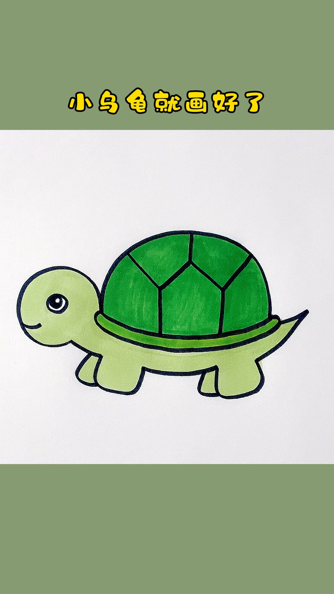 乌龟简笔画