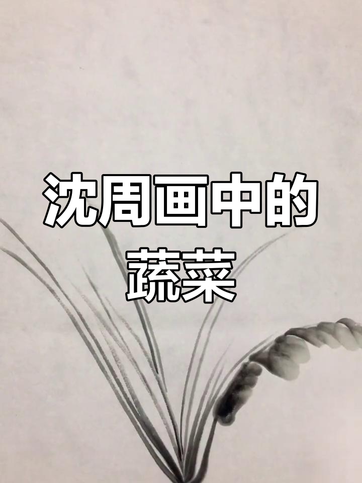 沈周笔下的白菜人生
