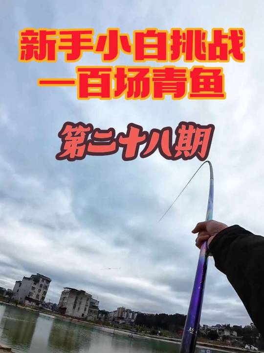 黑坑盘老板成功，无铅钓法拿下青鱼