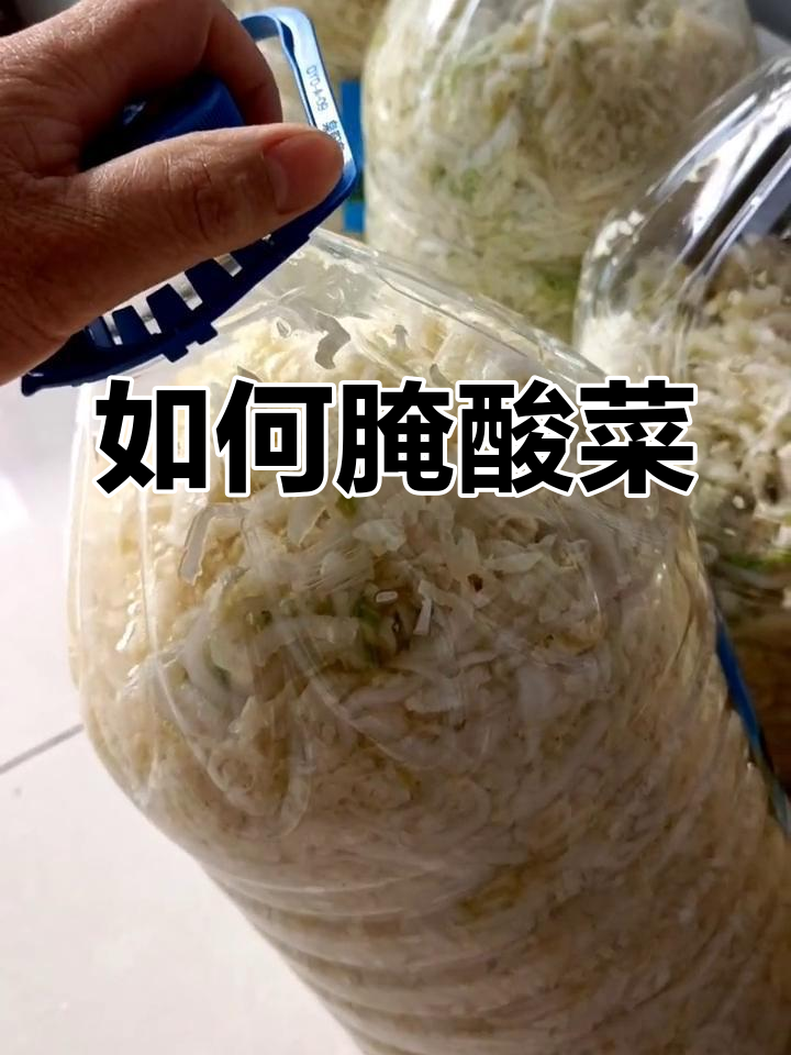酸菜腌制全过程,轻松学会