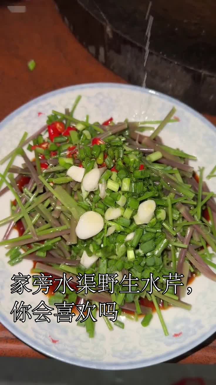 家旁水渠野生水芹,你会喜欢吗