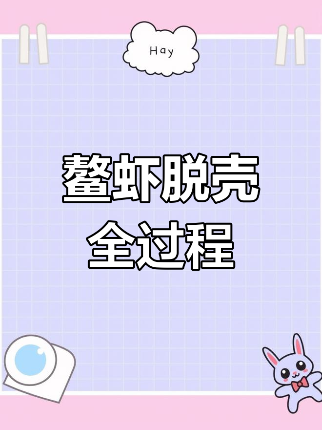 鳌虾退壳过程揭秘,生长法则大公开