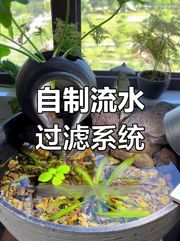 打造完美鱼缸生态,流水过滤系统全解析