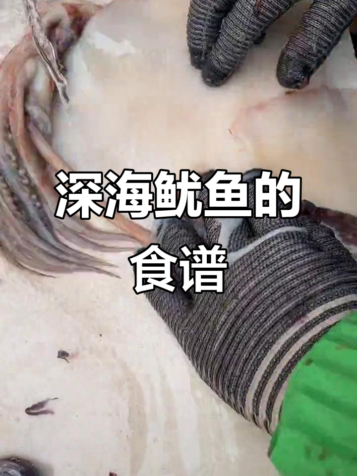 深海鱿鱼的食物大揭秘,看看它们都吃什么!