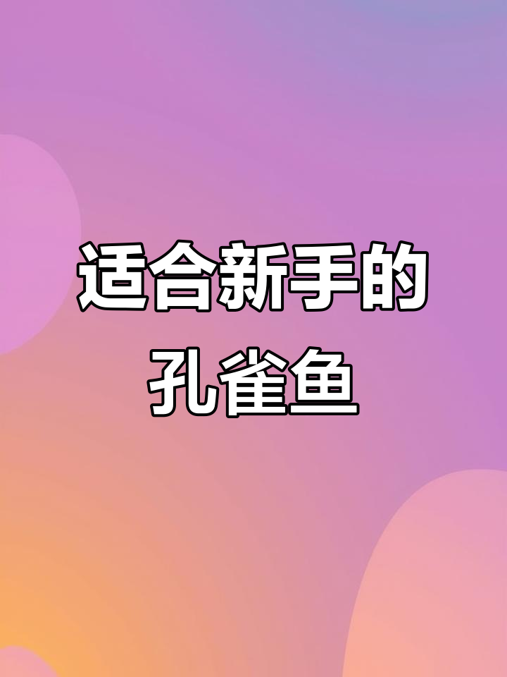 新手养孔雀鱼,选哪种最皮实好养?