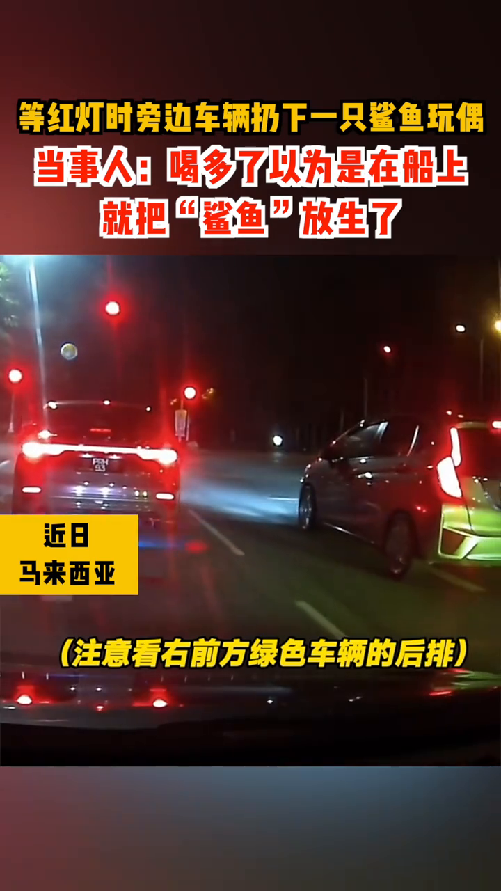 等红灯时车辆扔下一只鲨鱼玩偶,当事人:喝多把“鲨鱼”放生了