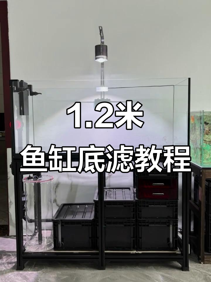 手搓1.2米鱼缸底滤制作全流程，细节决定成败