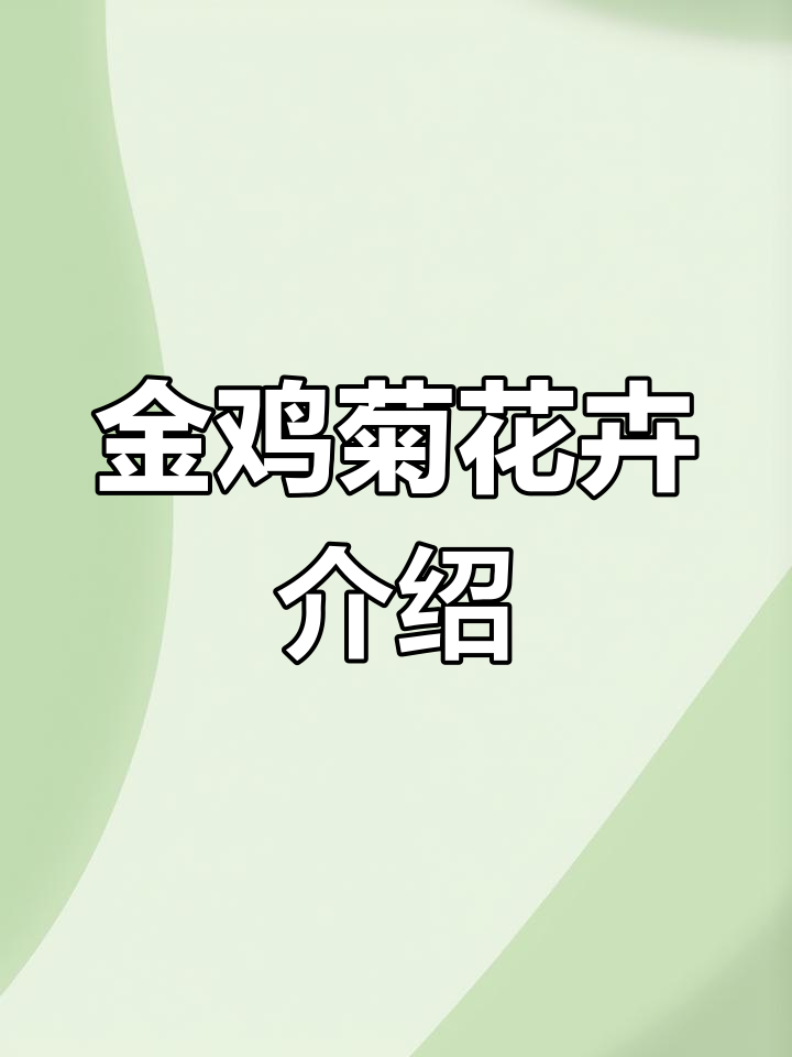 大花金鸡菊:观赏价值高,生态效用大