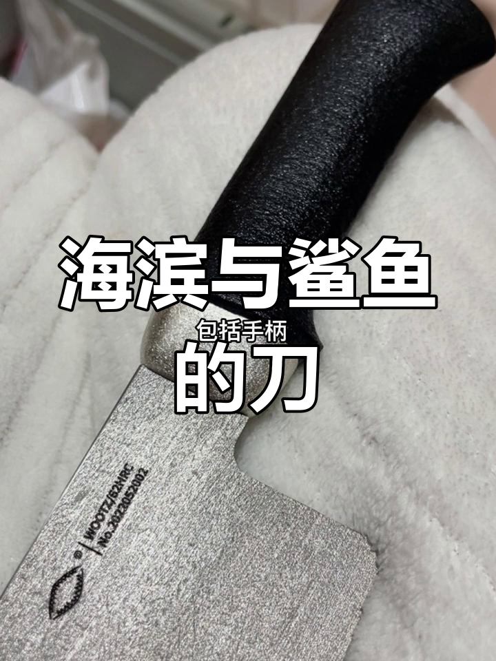 鲨鱼与海滨的神秘联系