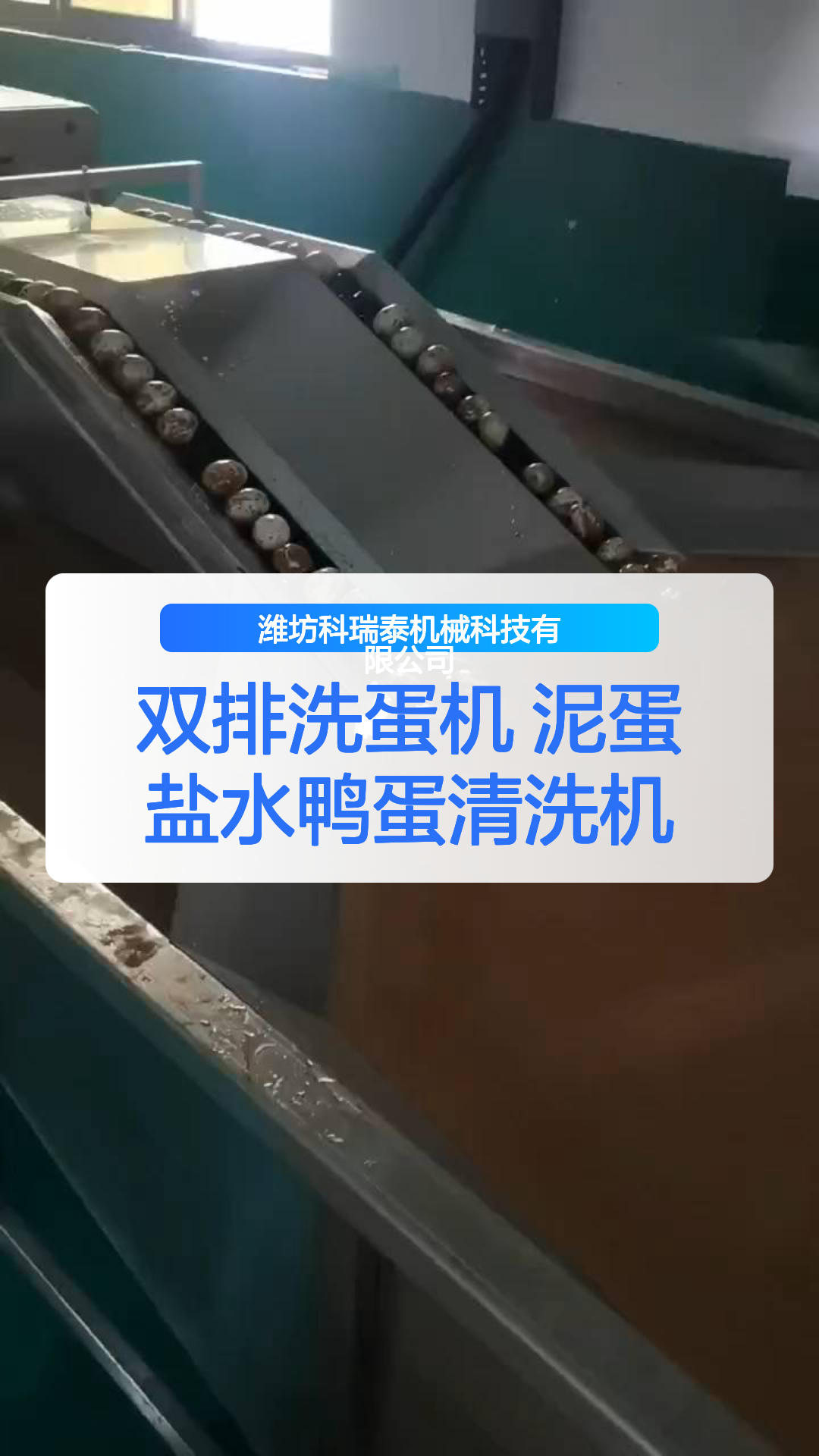 双排洗蛋机 泥蛋盐水鸭蛋清洗机
