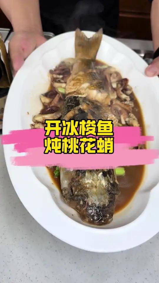 开冰梭鱼就是鲜 作为一个大连人太幸福了!到了春天,就能吃新鲜海鲜了!开冰梭鱼+桃花蛸,就是