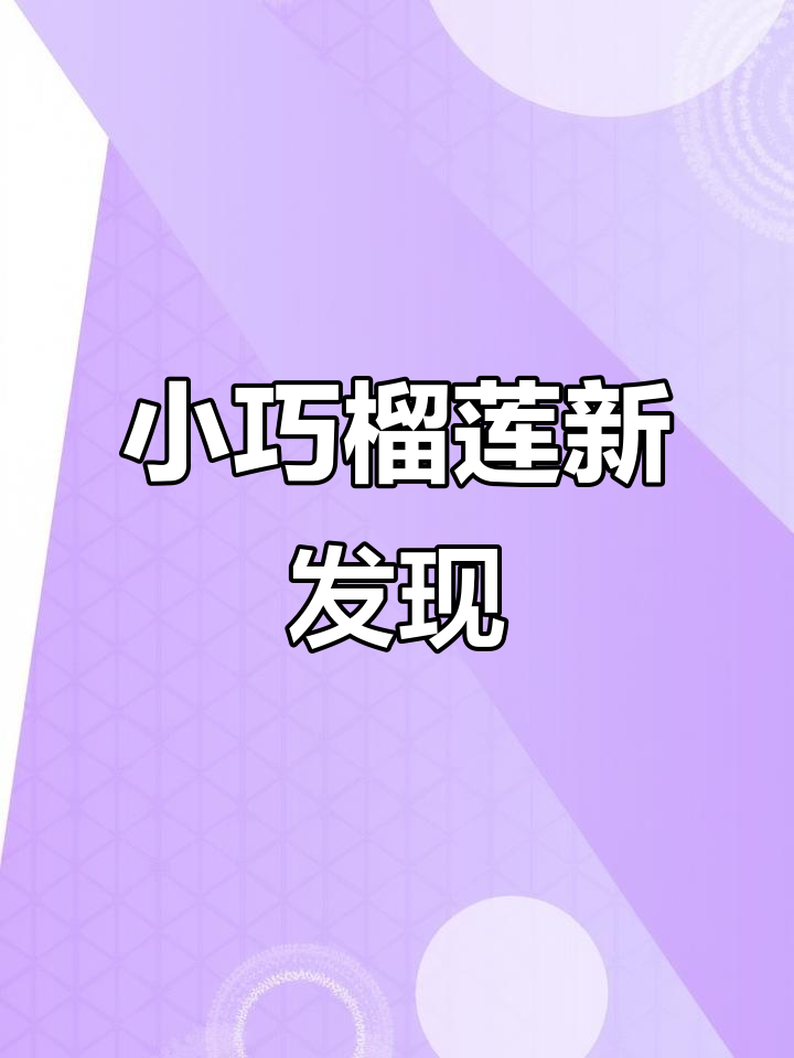 迷你榴莲,完美一人食!红虾肉多味浓,超惊喜的小型美味