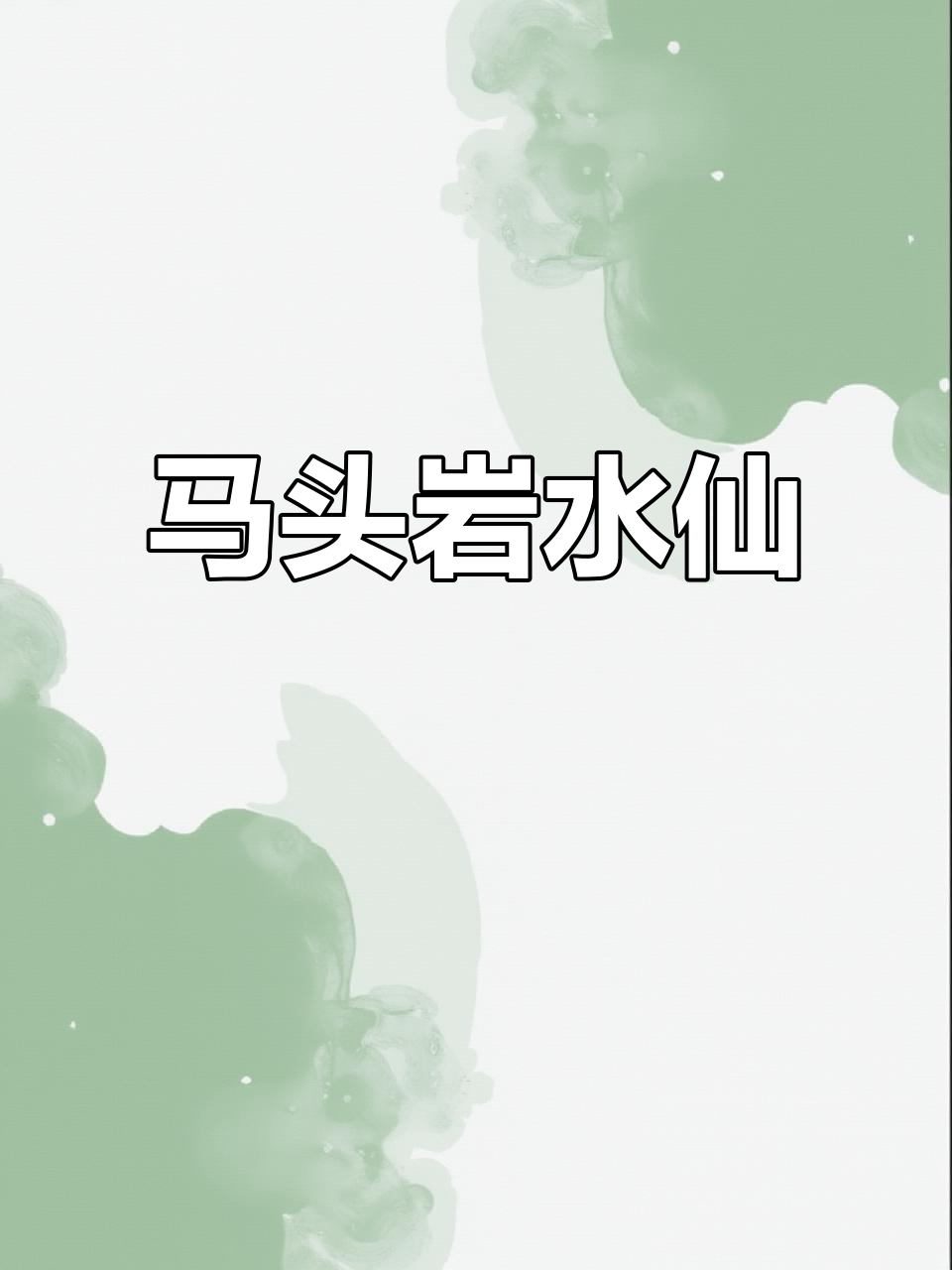 马头岩水仙:武夷岩茶的经典之作,香气与口感完美结合