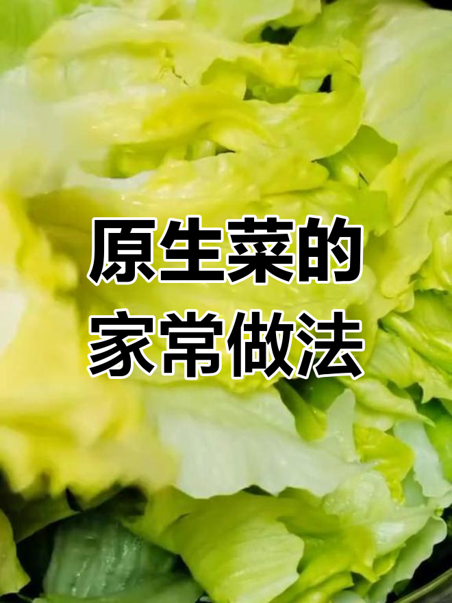 轻松做出美味圆生菜,家常做法大公开