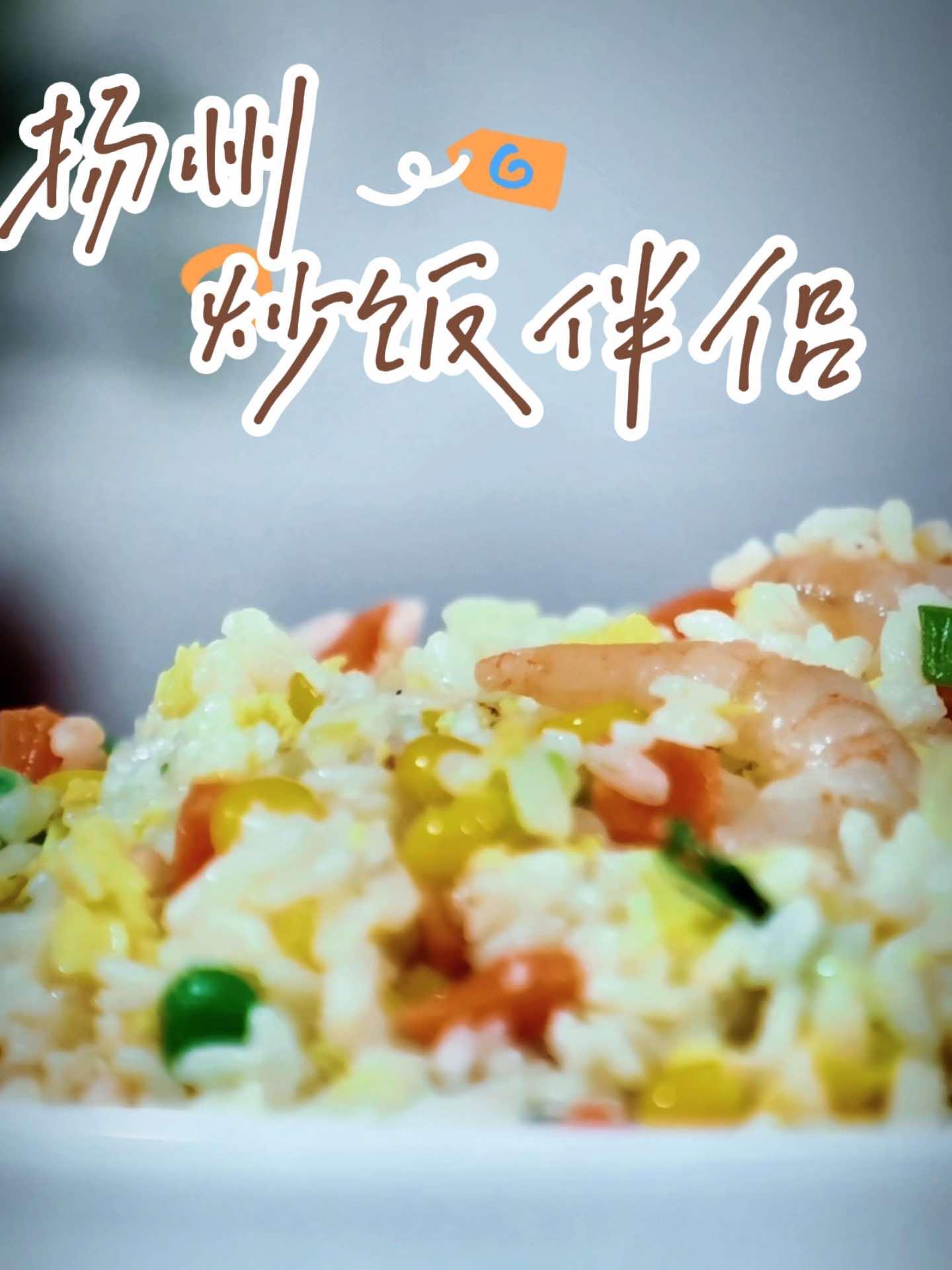 扬州炒饭伴侣 皮厨大叔美食 皮厨大叔好物推荐