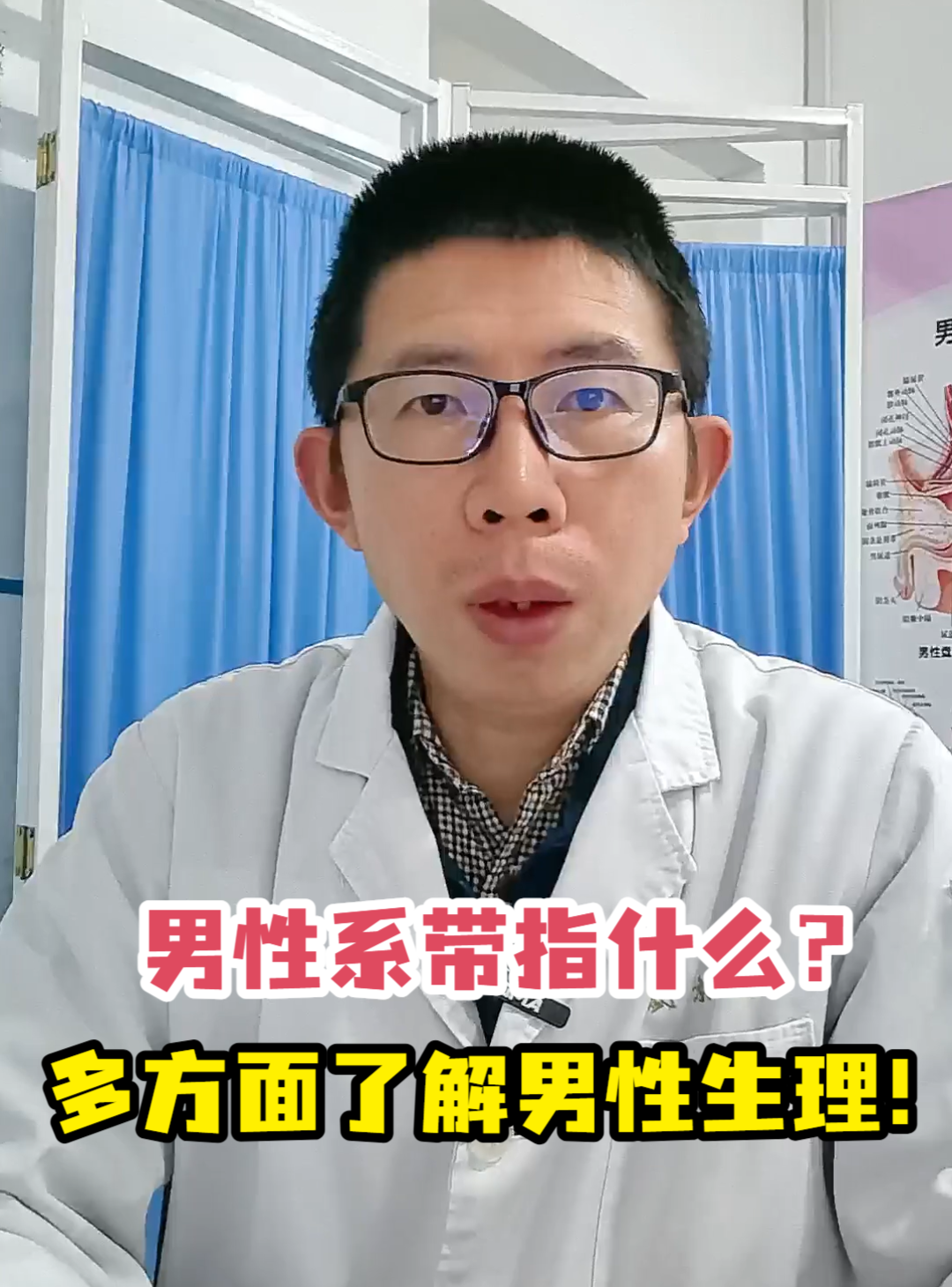 男性系带指什么?多方面了解男性生理!
