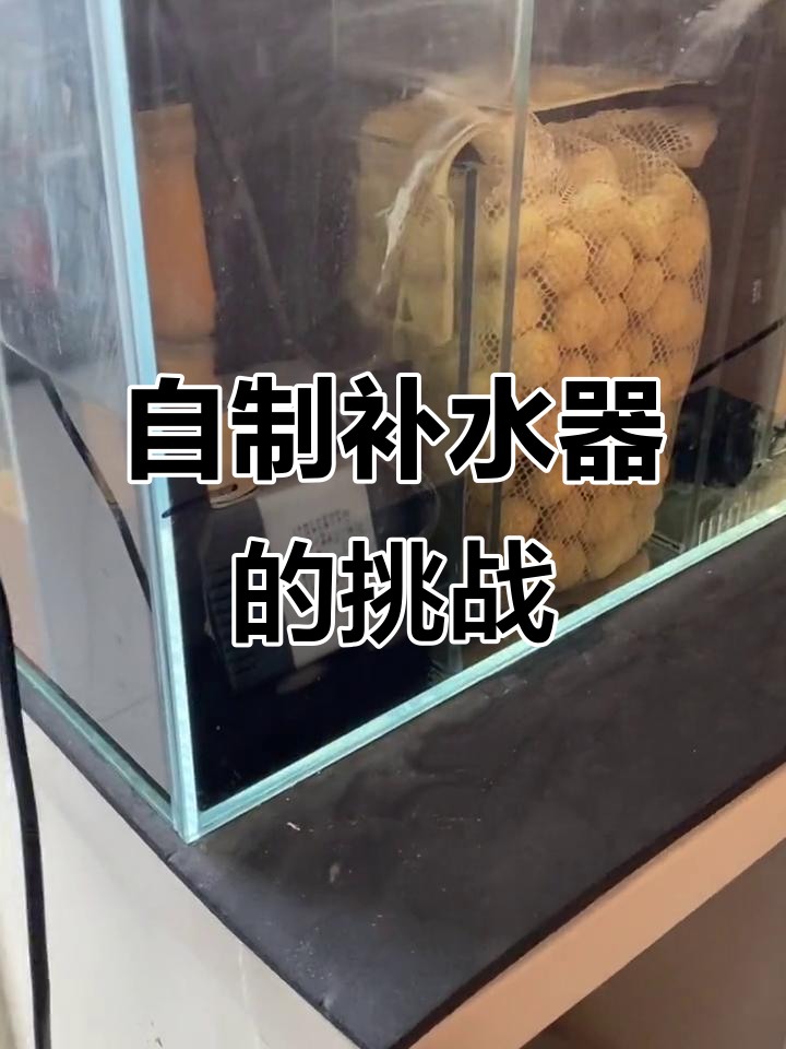 鱼缸补水器DIY,步骤超简单!