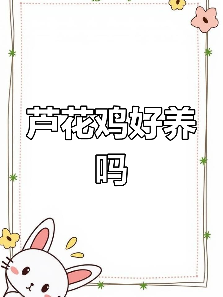 芦花鸡与土鸡的对比分析