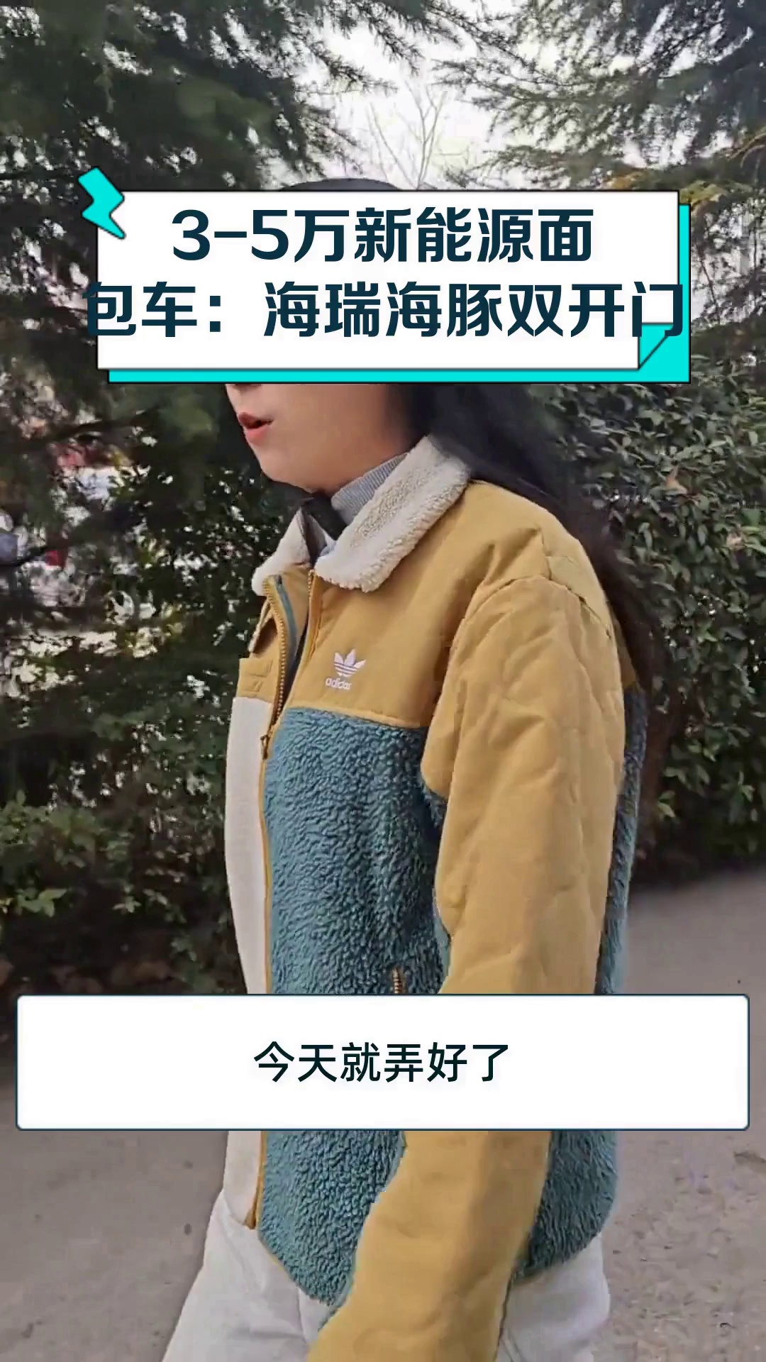 3-5万新能源面包车:海瑞海豚双开门