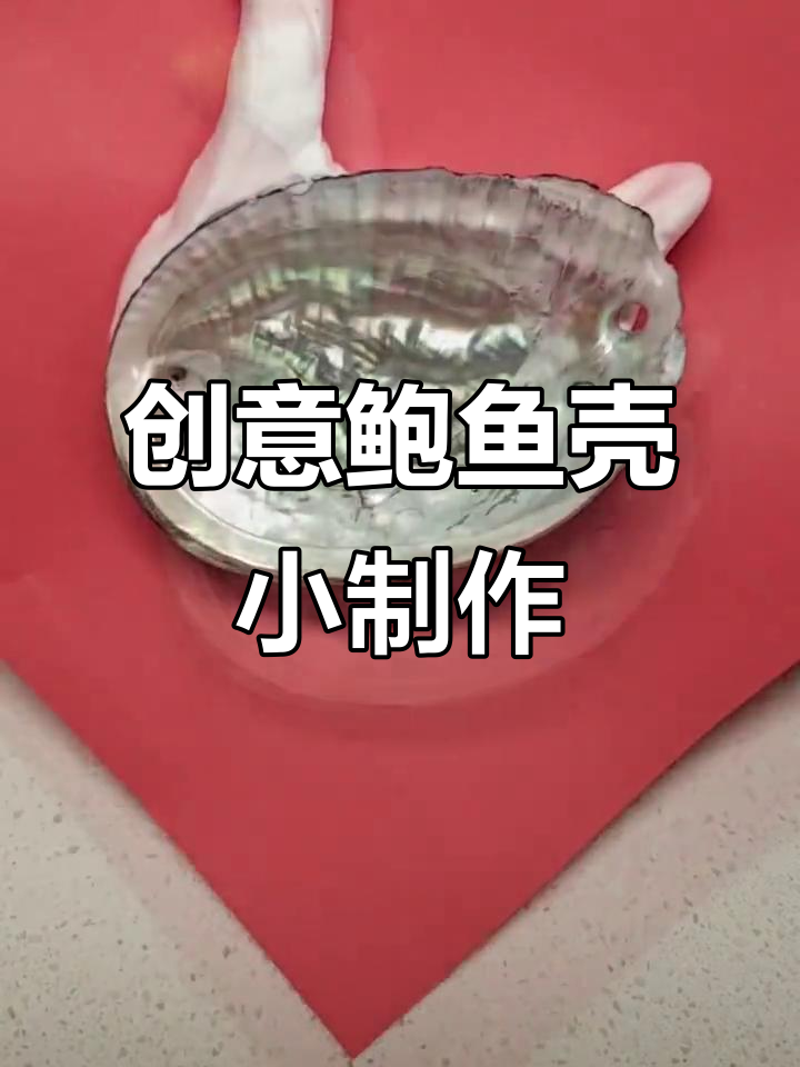 用鲍鱼壳做手工，简单又有趣！