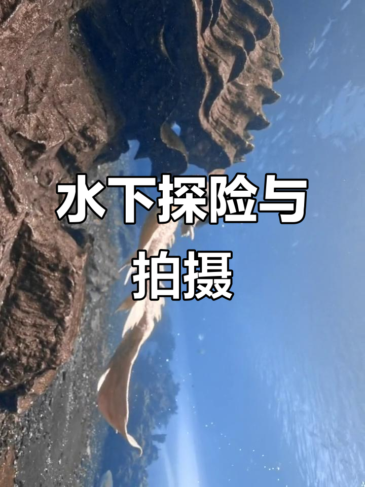 自由潜水与水下摄影的快乐时光,探索美人鱼的秘密