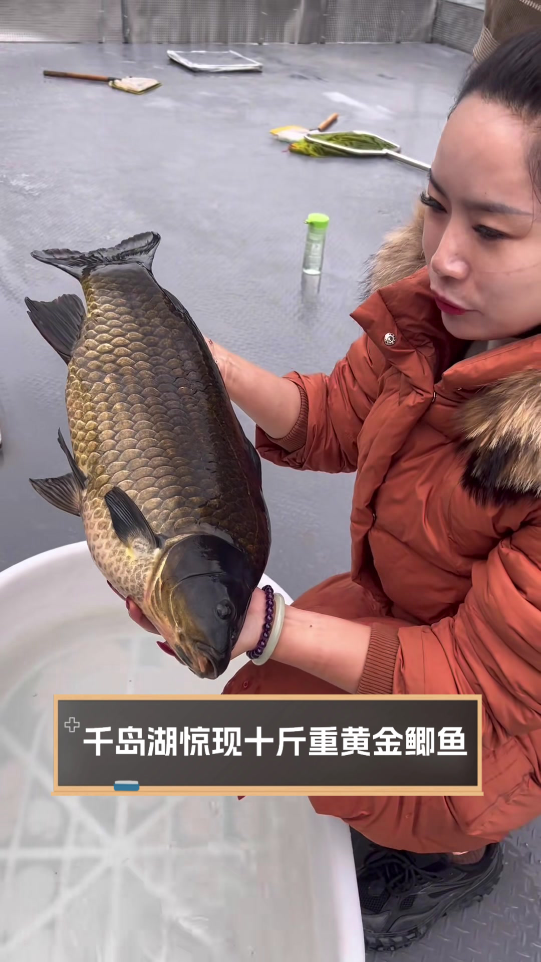 千岛湖惊现十斤重黄金鲫鱼