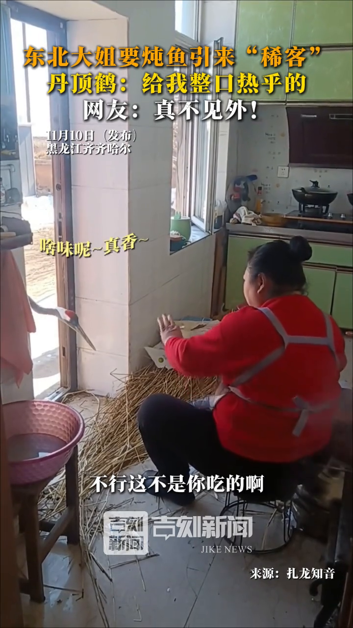 东北大姐要炖鱼引来“稀客”，丹顶鹤：给我整口热乎的