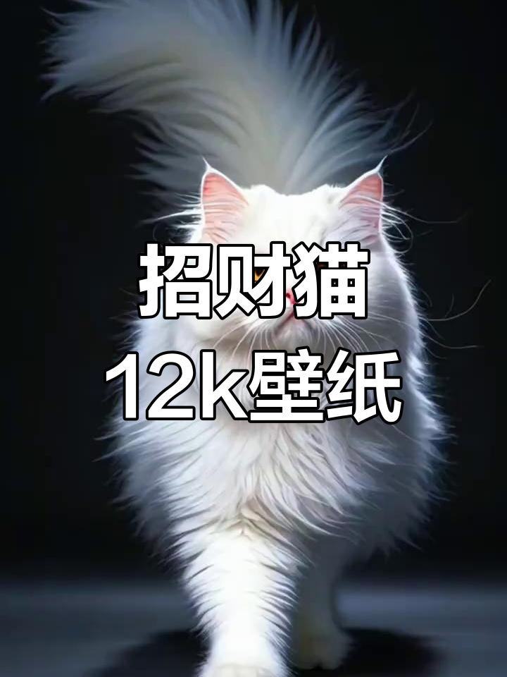 免费高清12k招财猫动态壁纸,萌宠来袭