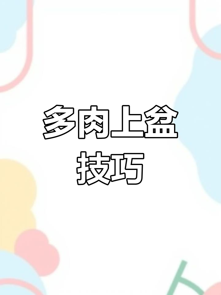 网购多肉如何快速上盆?三步搞定!