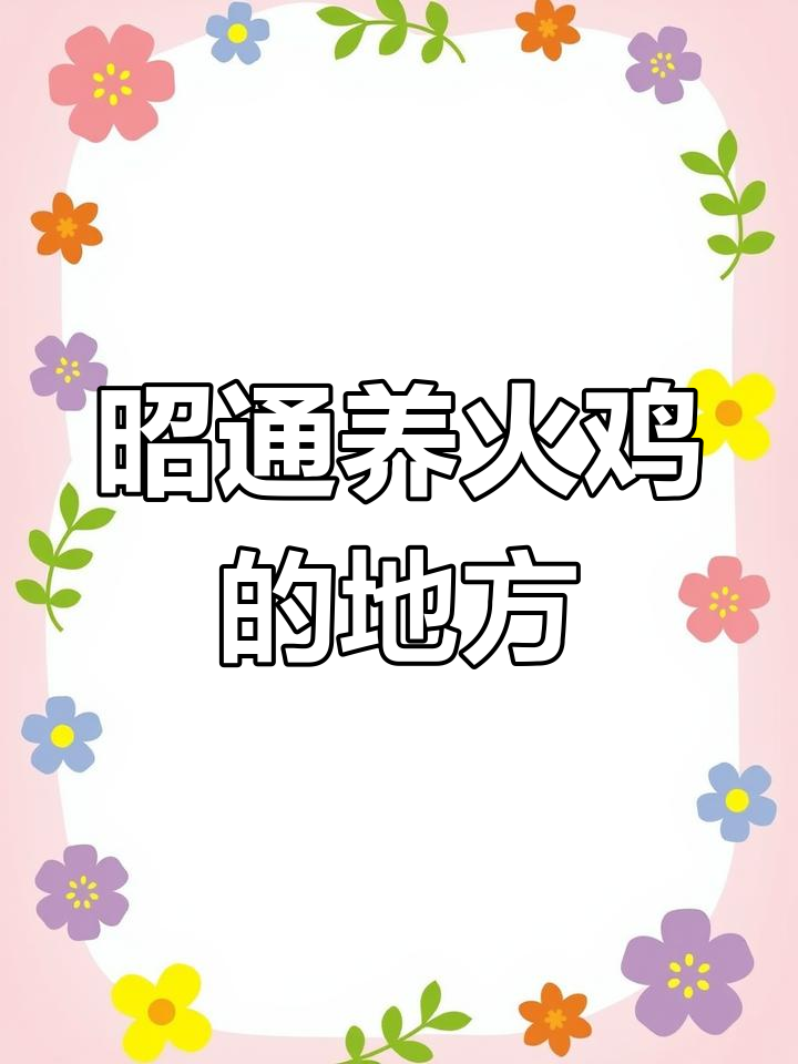 昭通火鸡养殖基地推荐