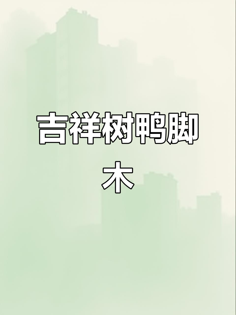 鸭脚木:寓意深远的客厅绿植,清新空气又美观