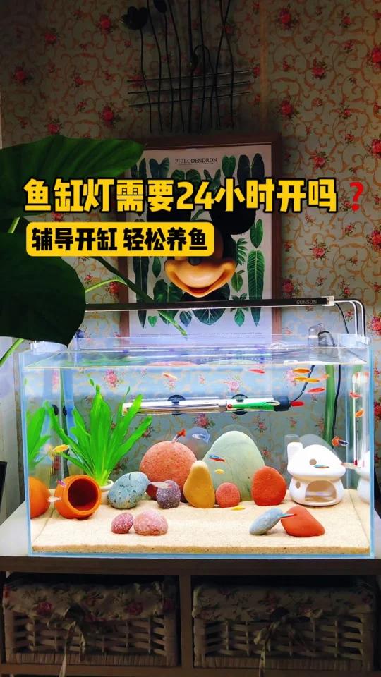 新手养鱼,鱼缸灯需要24小时开吗