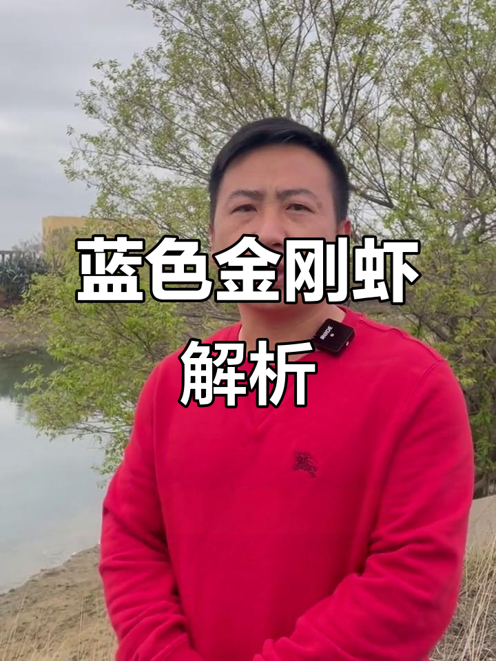 金刚虾变蓝?老手支招,大家有什么妙招吗?