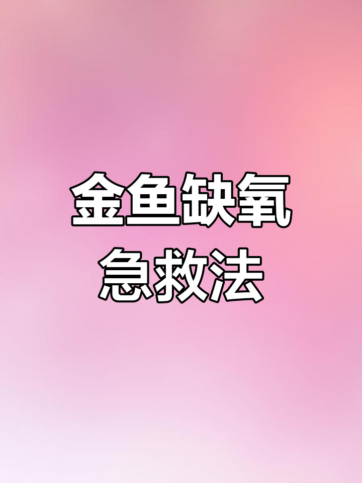 小金鱼缺氧怎么办?教你一招快速恢复活力