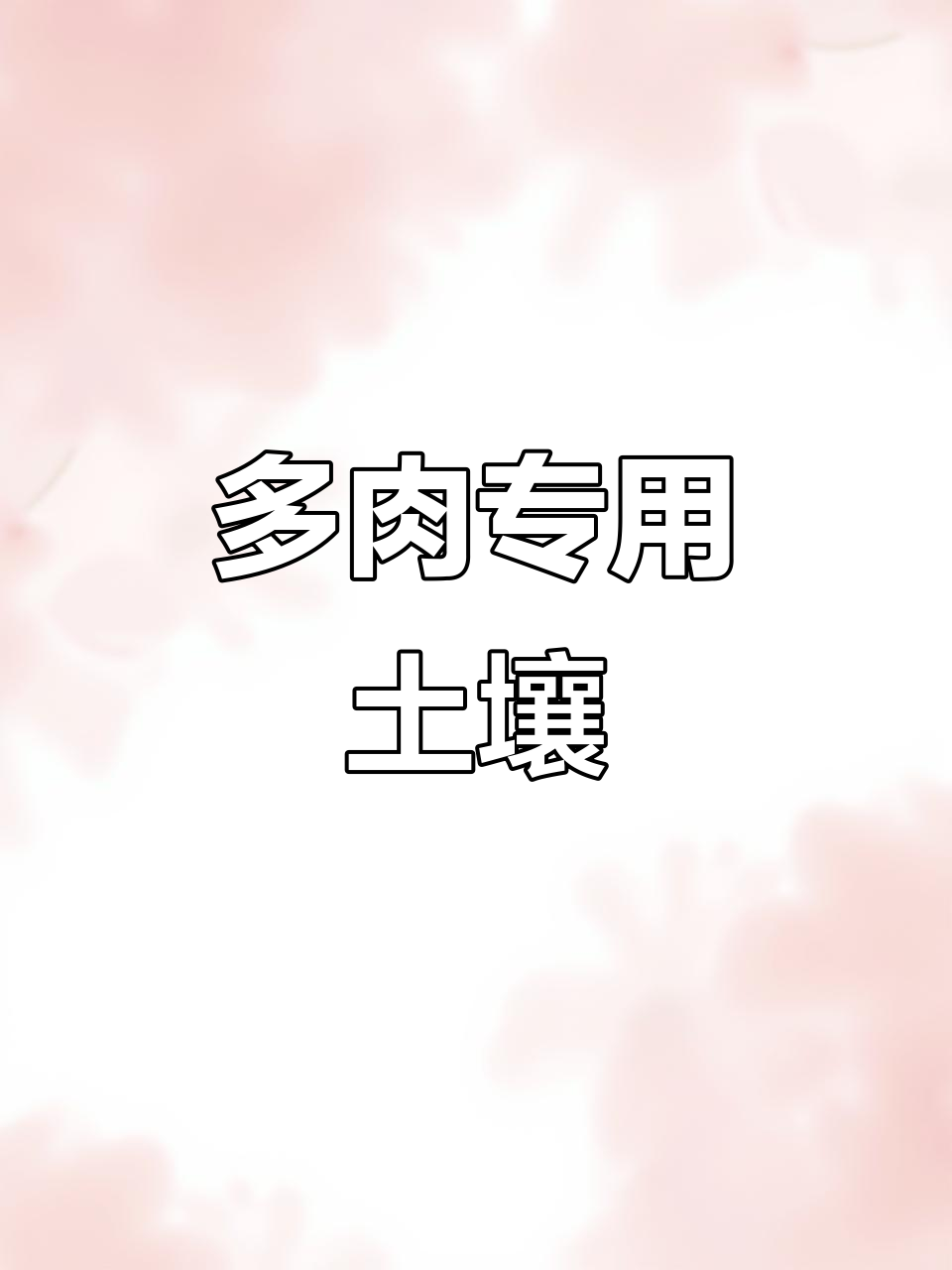 进口赤玉土,适合多肉植物栽培与铺面,营养丰富