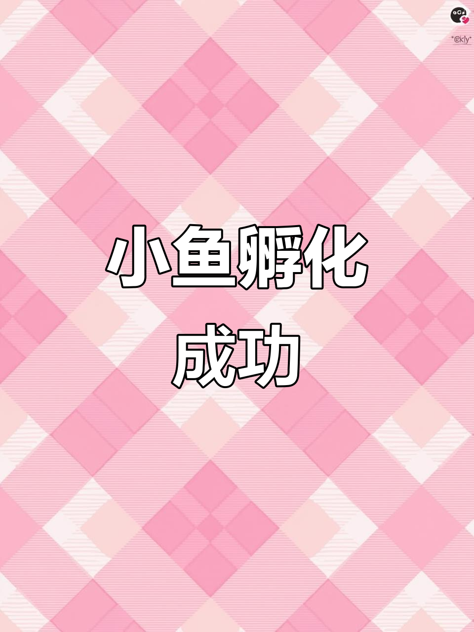泰国斗鱼繁殖第三天,小鱼苗开始动弹了