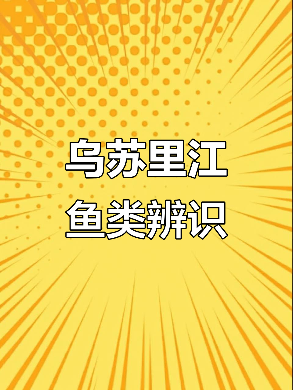 乌苏里江常见鱼种,法罗、鳊花与武昌易混淆