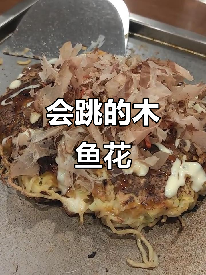 木鱼花也能跳舞,太神奇了!