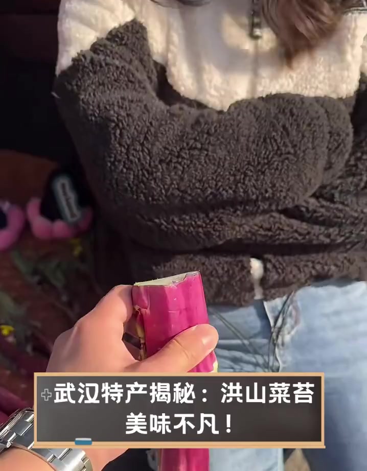 武汉特产揭秘:洪山菜苔,美味不凡!