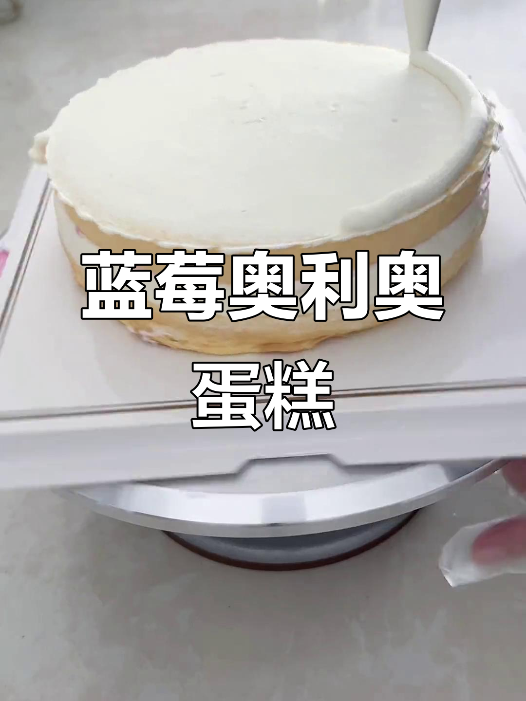 蓝莓奥利奥装饰的简单八寸生日蛋糕，动物奶油让口感更诱人