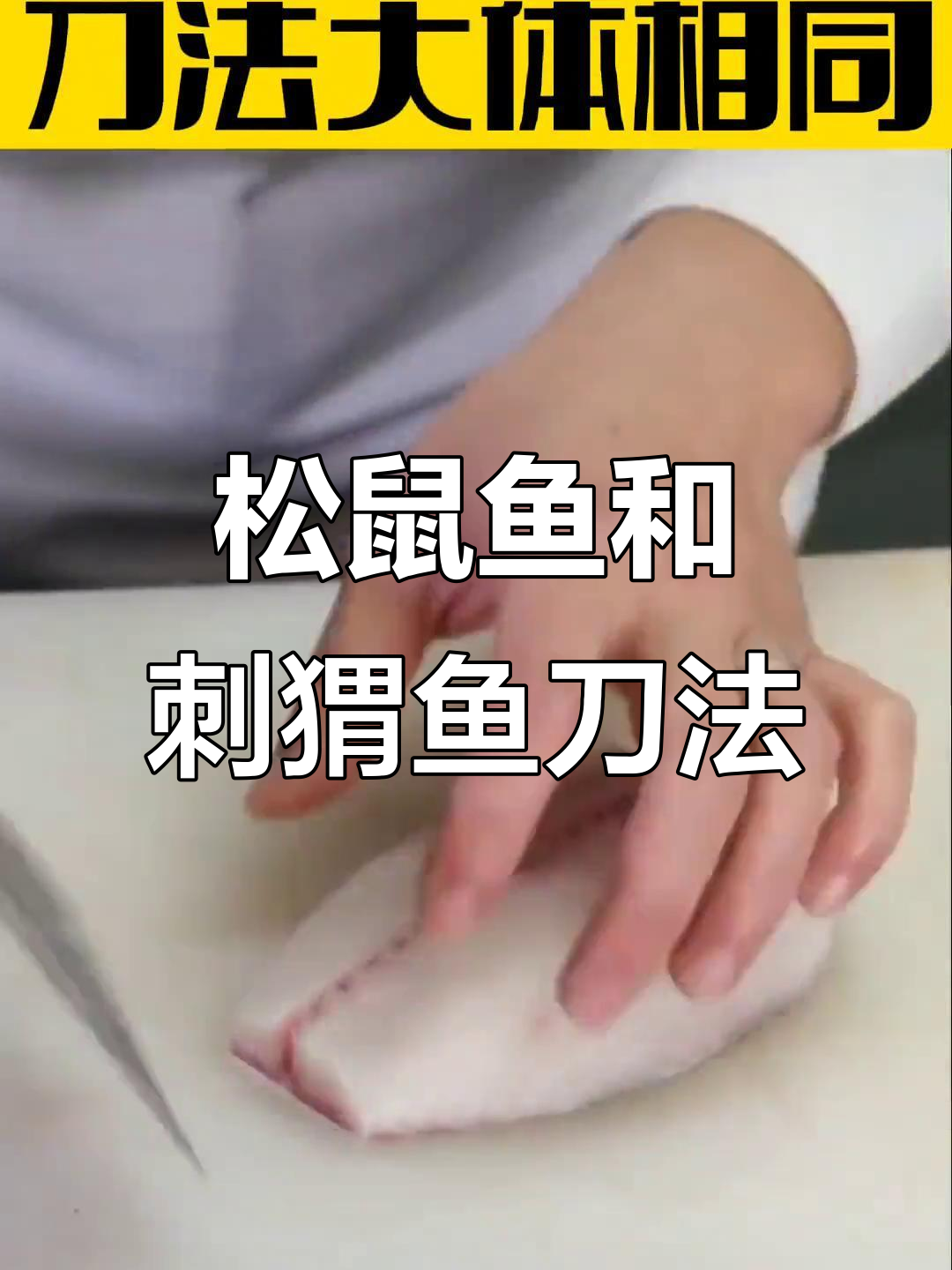 松鼠鱼与刺猬鱼的刀法大揭秘,川菜技艺一招搞定