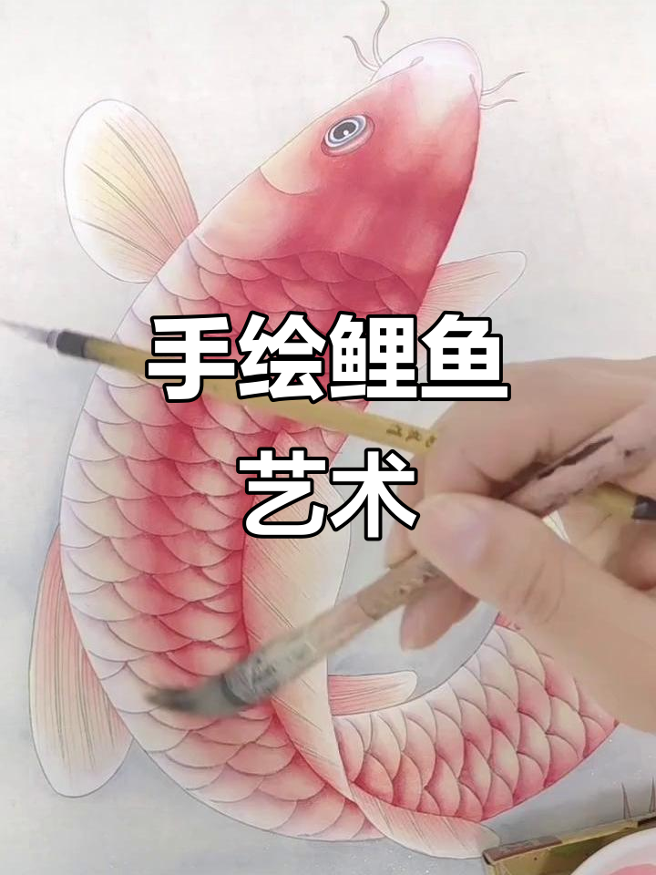 纯手绘鲤鱼,细节满满的艺术创作